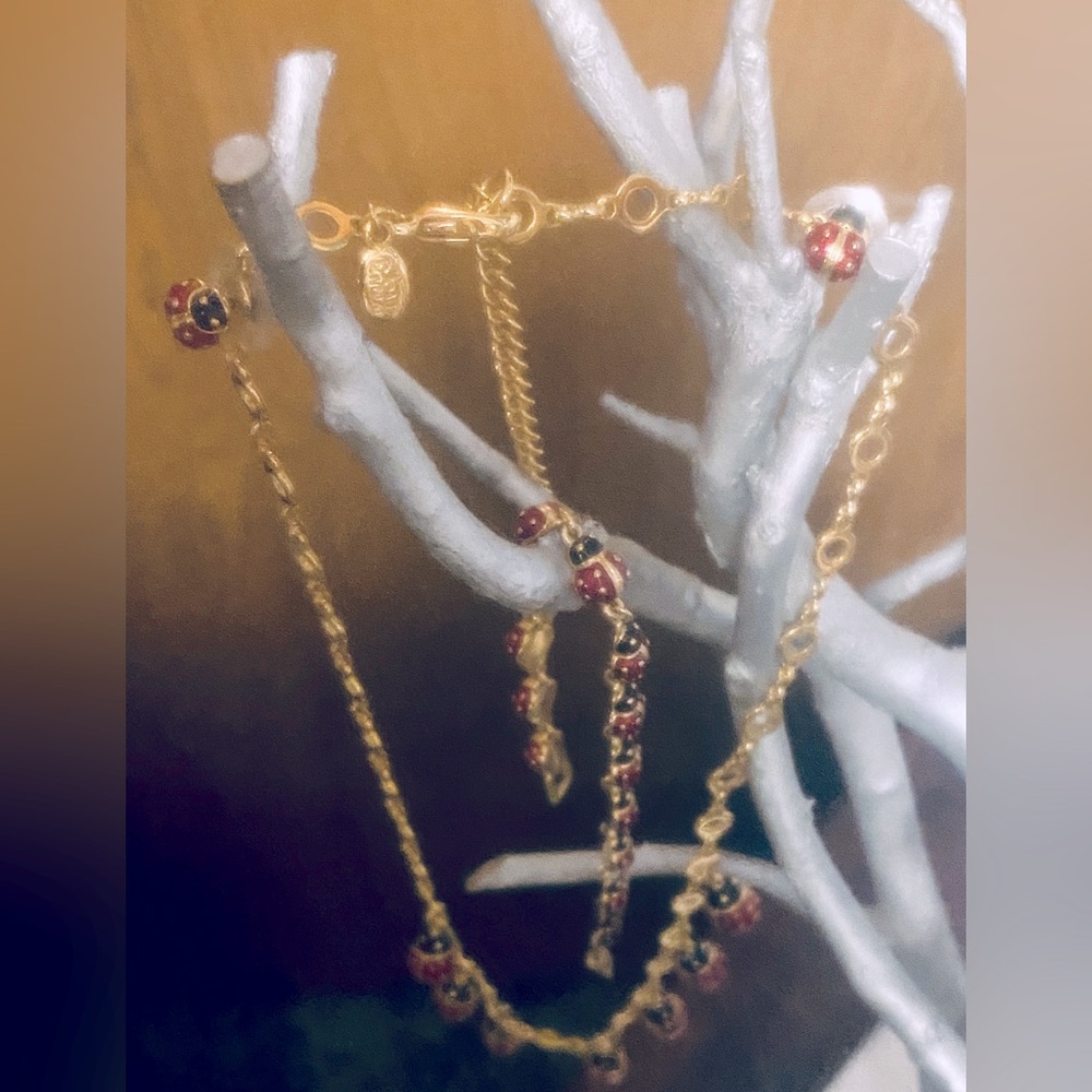 Joan Rivers Charmed Ladybug Set